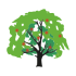 abc-learning-tree.ch