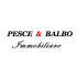 agenziaimmobiliarepescebalbo.com