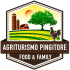 agriturismopingitore.com