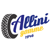 allinigomme.com