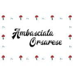 ambasciataorsarese.com