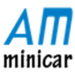 amminicar.it