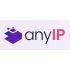 anyip.io