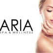 ariaspawellness.it