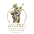 ascendis-vigevano.it