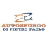 autospurgodipietropaolo.com