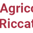 aziendaagricolariccato.it