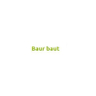 baurbaut.ch