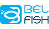 belfish.it