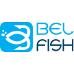 belfish.it