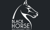 blackhorse.ch