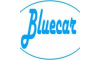 bluecar-revisioni.it