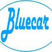 bluecar-revisioni.it