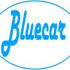 bluecar-revisioni.it