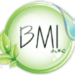 bmigiardini.com