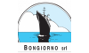 bongiornosrl.com