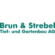 brun-strebel.ch