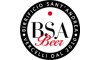 bsabeer.it