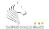 campeggiocavallobianco.com