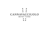 cannavacciuolobistrot.it