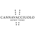 cannavacciuolobistrot.it