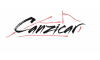 canzicar.com