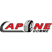 caponegomme.it