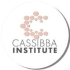 cassibbainstitute.it