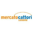 cattori.ch