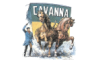 cavanna.it