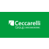 ceccarelligroup.it