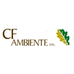 cfambientesrl.com