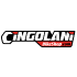 cingolanibikeshop.com