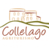 collelago.it