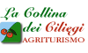 collinaciliegi.com