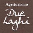 duelaghi.com