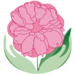 esteticalepeonie.it