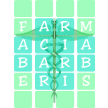 farmaciabarberis.net