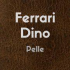 ferraridinopelliccerie.com