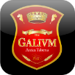 galivm.com