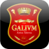 galivm.com