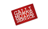 gallimotorservice.it