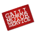 gallimotorservice.it