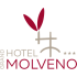 grandhotelmolveno.it