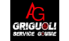 griguoliservicegomme.it