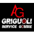 griguoliservicegomme.it