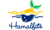 hamalfite.com