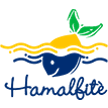 hamalfite.com