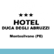 hotelducadegliabruzzi.it