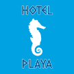 hotelplayarimini.it